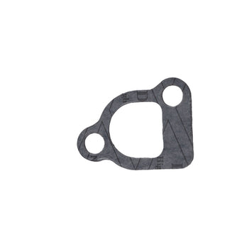 BRIGGS & STRATTON Dichtung 805023 für Motor