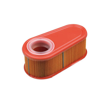 BRIGGS & STRATTON Ovalluftfilter 005419 für Motor