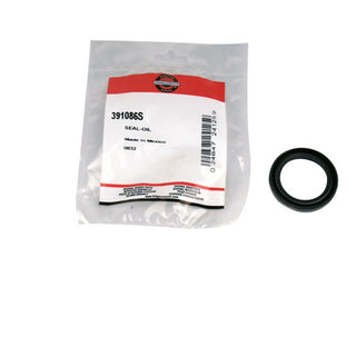 BRIGGS & STRATTON Wellendichtring 391086S für Motor