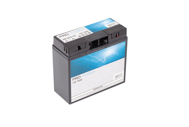 AL-KO Starterbatterie 512073 für Rasentraktor Ersatzteil