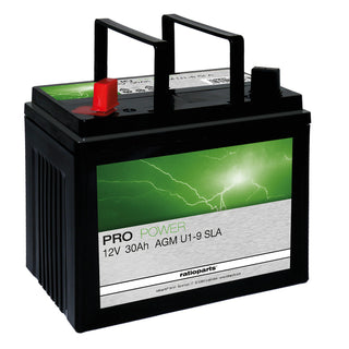 CASTEL GARDEN Starterbatterie AGM 12V 30Ah für Rasentraktor