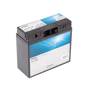 AL-KO Starterbatterie 512073 für Rasentraktor