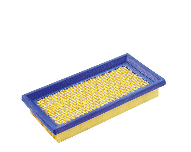BRIGGS & STRATTON Flachluftfilter 024847242409 für Motor Ersatzteil