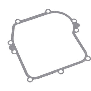 BRIGGS & STRATTON Kurbelgehäusedichtung 799587 für Motor