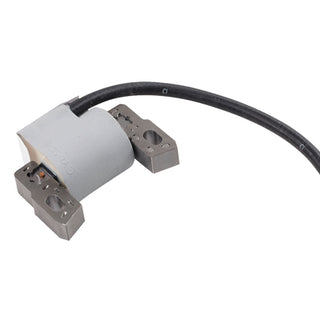 BRIGGS & STRATTON Zündspule 796500 für Motor