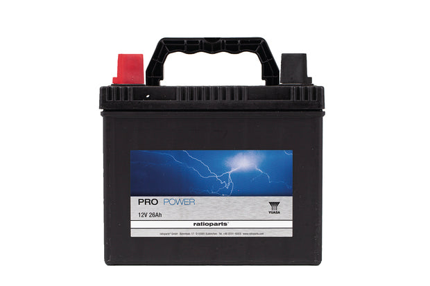 CASTEL GARDEN Starterbatterie 539 10 24-36 für Rasentraktor Ersatzteil – Originalteil schneller Versand
