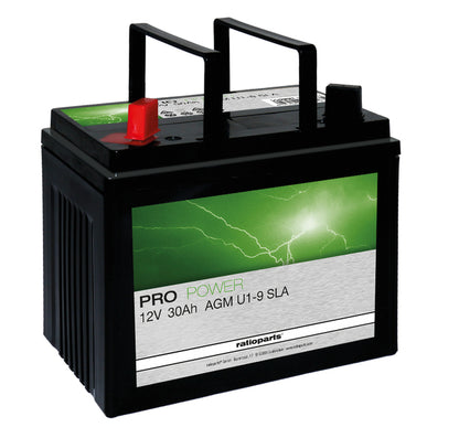 CASTEL GARDEN Starterbatterie AGM 12V 30Ah für Rasentraktor Ersatzteil
