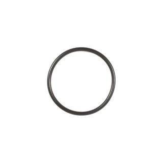 BRIGGS & STRATTON O-Ring 697123 für Motor