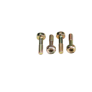 DOLMAR Schraube M5 x 16 165 888 030 für Kettensäge