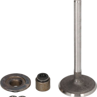 BRIGGS & STRATTON Ventilsitz 792200 für Motor