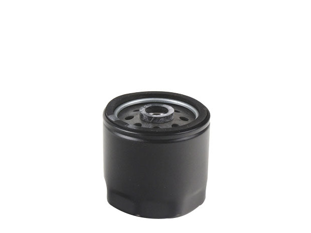 Kraftstofffilter 75 mm 77 mm passend für Motor von ACME und LOMBARDINI