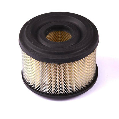 BRIGGS & STRATTON Luftfilter - Bild 2

