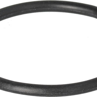 BRIGGS & STRATTON O-Ring 690589 für Motor