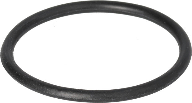 BRIGGS & STRATTON O-Ring passt auch für Motor
