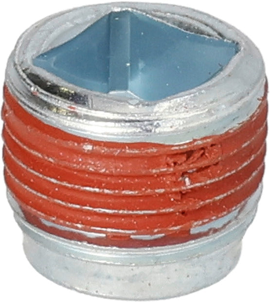 BRIGGS & STRATTON Ölablassschraube - Bild 2