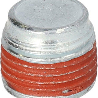 BRIGGS & STRATTON Ölablassschraube 691680 für Motor