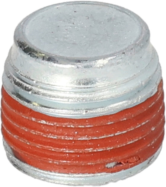 BRIGGS & STRATTON Ölablassschraube