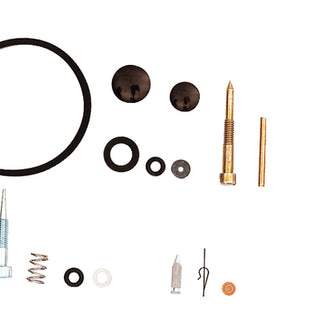 TECUMSEH Vergaserreparatursatz 631029 für Motor