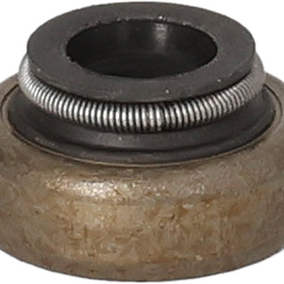 BRIGGS & STRATTON Ventilschaftdichtung 697338 für Motor