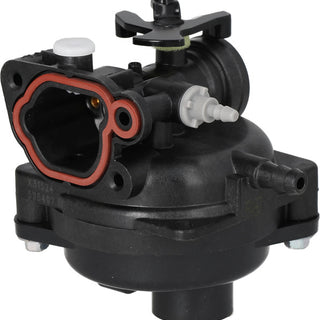 BRIGGS & STRATTON Vergaser 591979 für Motor