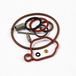 BRIGGS & STRATTON Vergaserreparatursatz 590589 für Motor