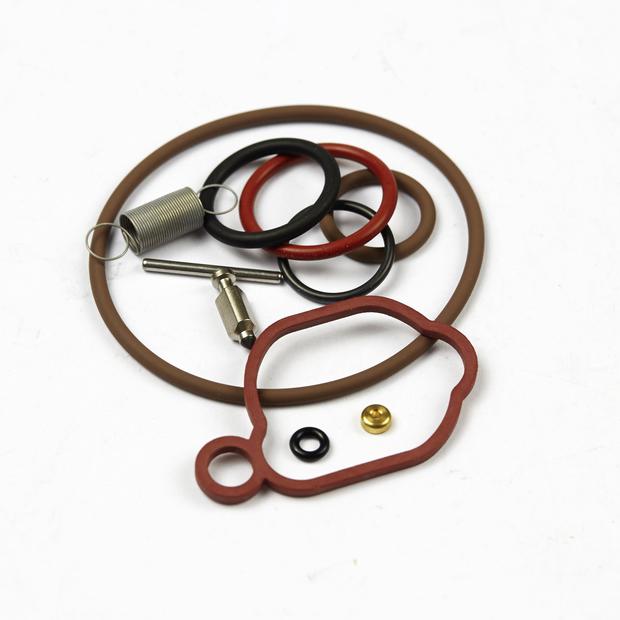 BRIGGS & STRATTON Vergaserreparatursatz
