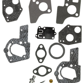 BRIGGS & STRATTON Vergaserreparatursatz 024847848915 für Motor