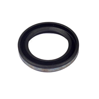 BRIGGS & STRATTON Wellendichtring 299819S für Motor